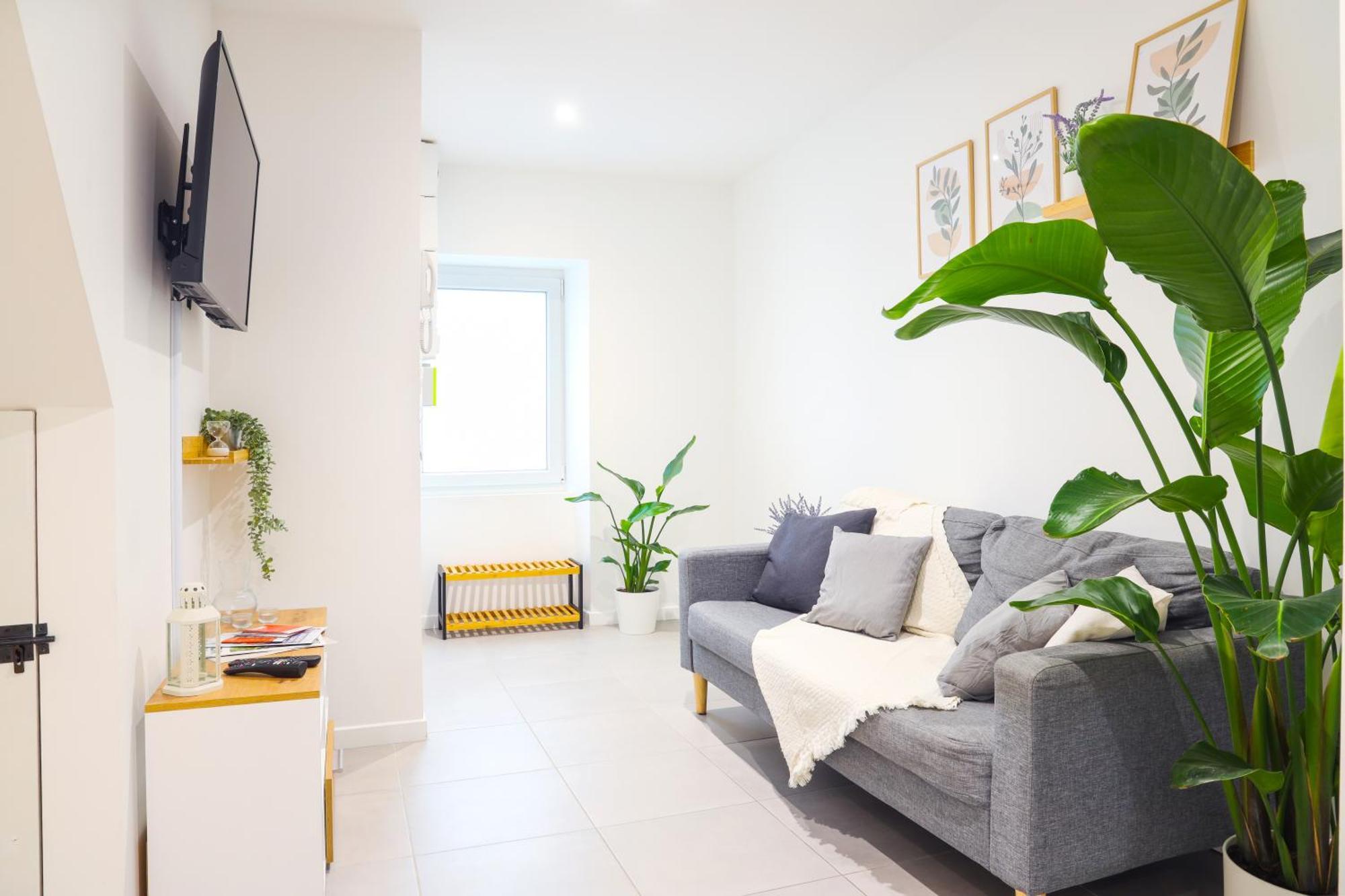 Appartement Souplex - Centre - Terrasse - Clim *